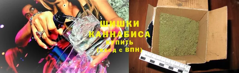 купить наркотики цена  omg маркетплейс  Бошки Шишки Ganja  Полевской 